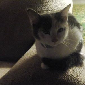 Meet your Posher, Debbie